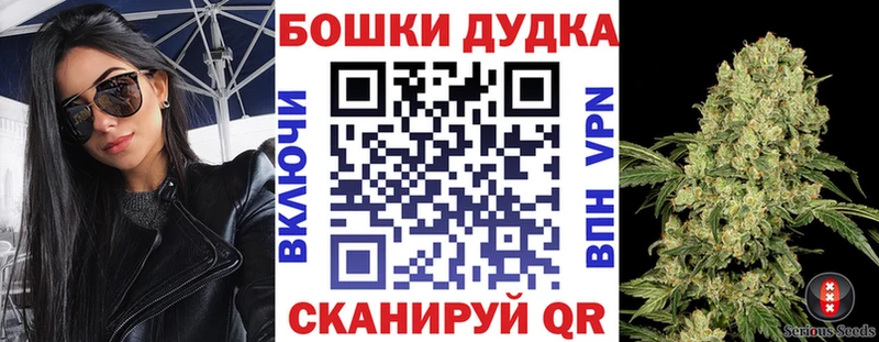 KRAKEN онион  Камень-на-Оби  Бошки марихуана Amnesia 